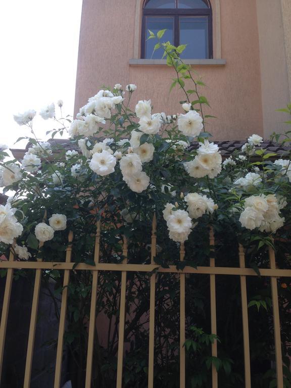 בורגאס Apartment Morskoi Gnom מראה חיצוני תמונה